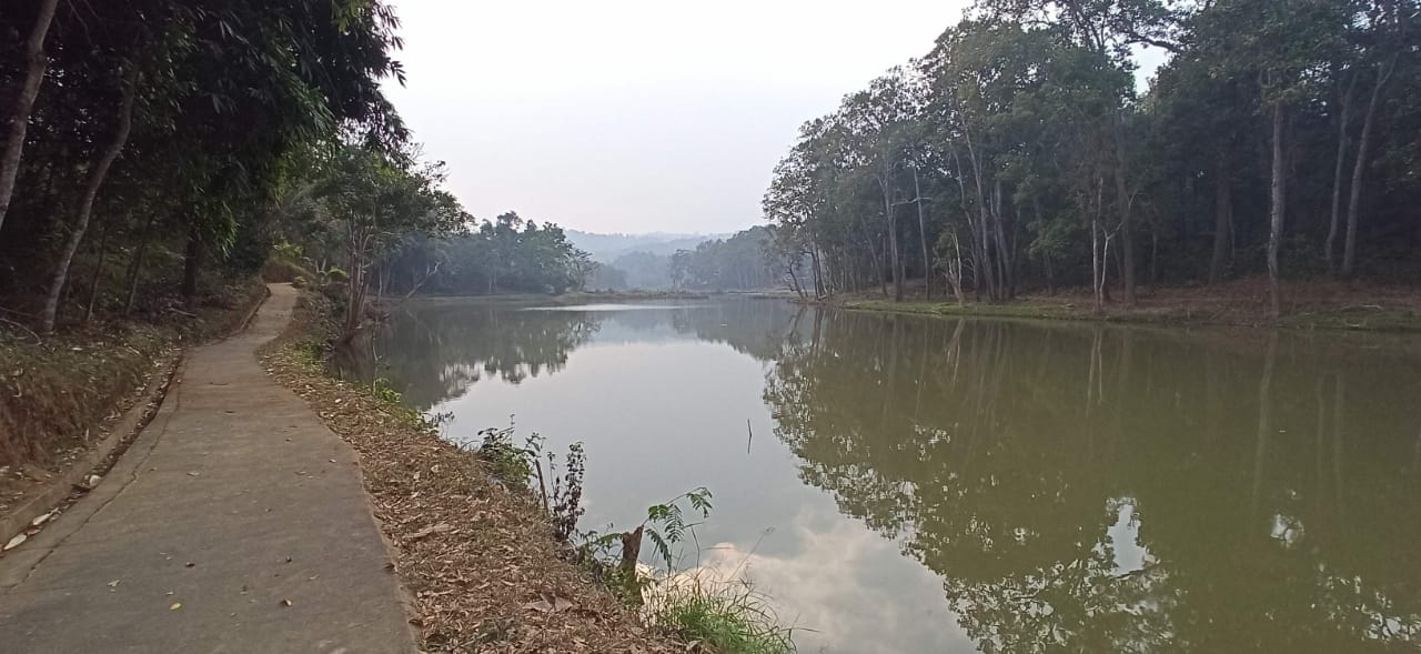 Tasek Wari